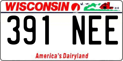 WI license plate 391NEE