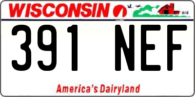 WI license plate 391NEF