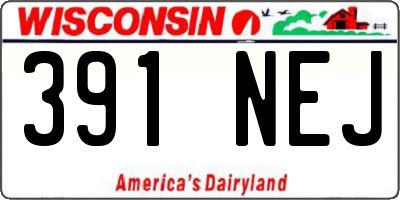 WI license plate 391NEJ