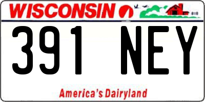WI license plate 391NEY
