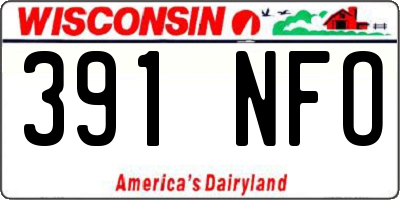 WI license plate 391NFO