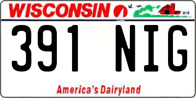 WI license plate 391NIG