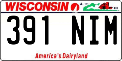 WI license plate 391NIM