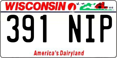 WI license plate 391NIP
