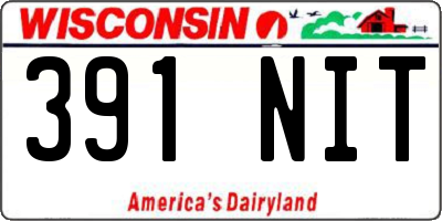 WI license plate 391NIT