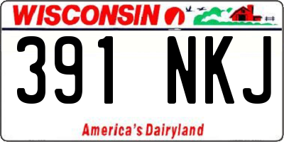 WI license plate 391NKJ
