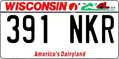WI license plate 391NKR