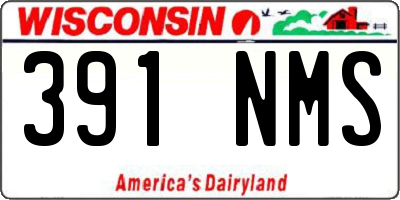 WI license plate 391NMS
