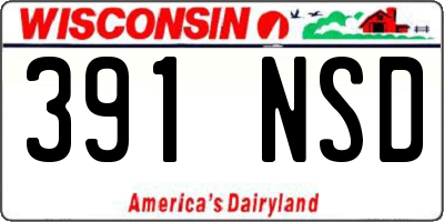 WI license plate 391NSD