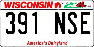 WI license plate 391NSE