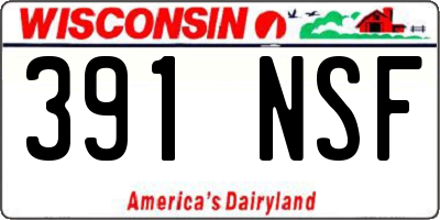 WI license plate 391NSF