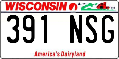 WI license plate 391NSG