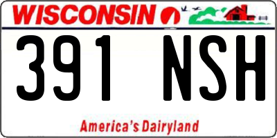 WI license plate 391NSH