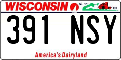 WI license plate 391NSY