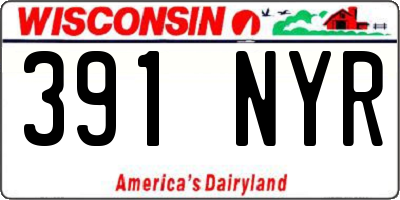 WI license plate 391NYR