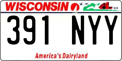WI license plate 391NYY