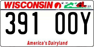 WI license plate 391OOY
