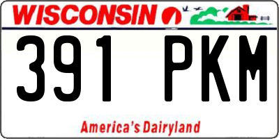 WI license plate 391PKM