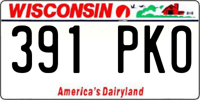 WI license plate 391PKO