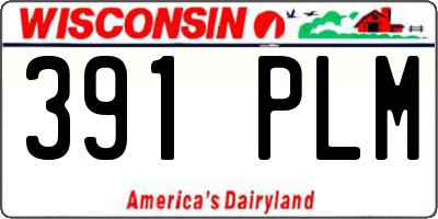 WI license plate 391PLM