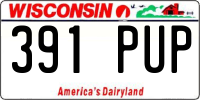WI license plate 391PUP