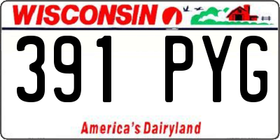 WI license plate 391PYG