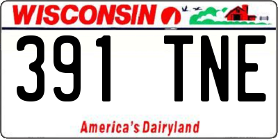 WI license plate 391TNE