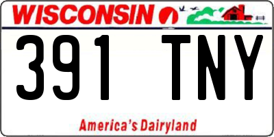 WI license plate 391TNY