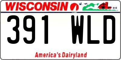 WI license plate 391WLD
