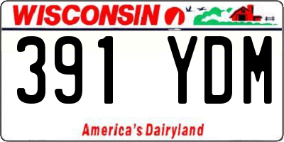 WI license plate 391YDM