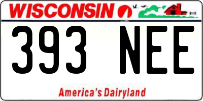WI license plate 393NEE