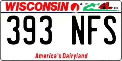 WI license plate 393NFS