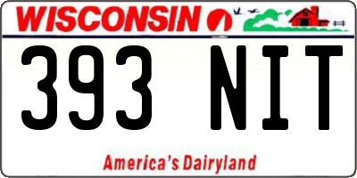 WI license plate 393NIT