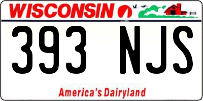 WI license plate 393NJS
