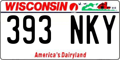 WI license plate 393NKY