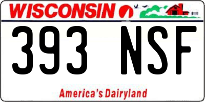 WI license plate 393NSF