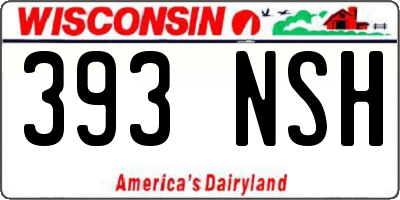 WI license plate 393NSH
