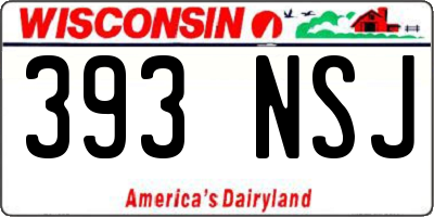 WI license plate 393NSJ