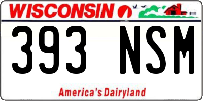 WI license plate 393NSM