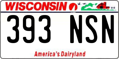 WI license plate 393NSN