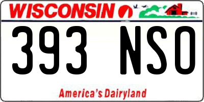 WI license plate 393NSO