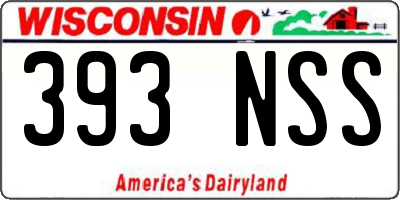 WI license plate 393NSS