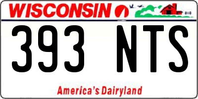 WI license plate 393NTS