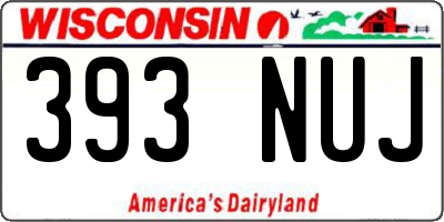 WI license plate 393NUJ