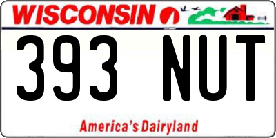 WI license plate 393NUT