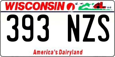 WI license plate 393NZS
