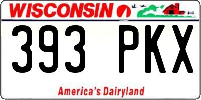 WI license plate 393PKX