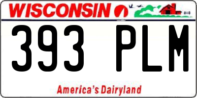 WI license plate 393PLM