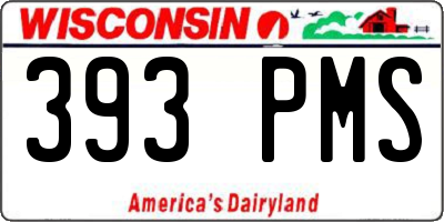 WI license plate 393PMS