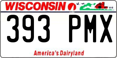 WI license plate 393PMX